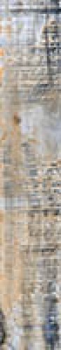 BIRCHWOOD ANCIENT 20X120 Kωδικός 92121016
